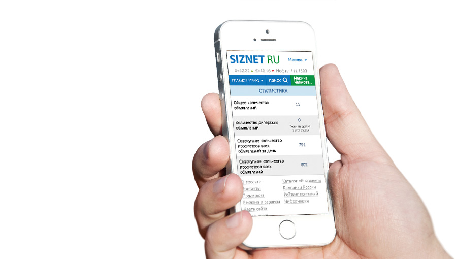 Внешний вид раздела статистики мобильной версии интернет-портала SIZNET